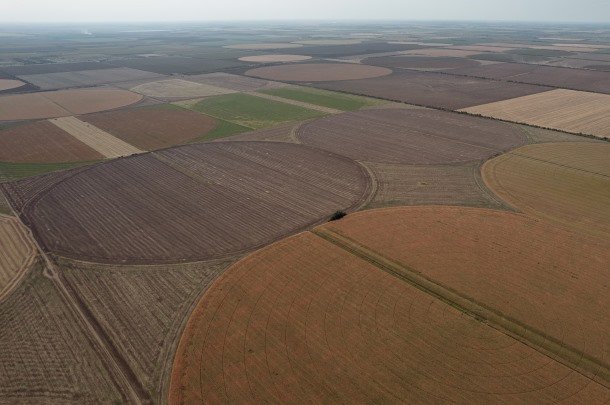 В Україні вже здійснили понад 1000 земельних аукціонів через Прозорро.Продажі