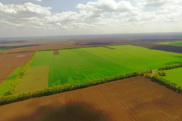 Україна втратила близько 5 млн га земель через тіньовий ринок
