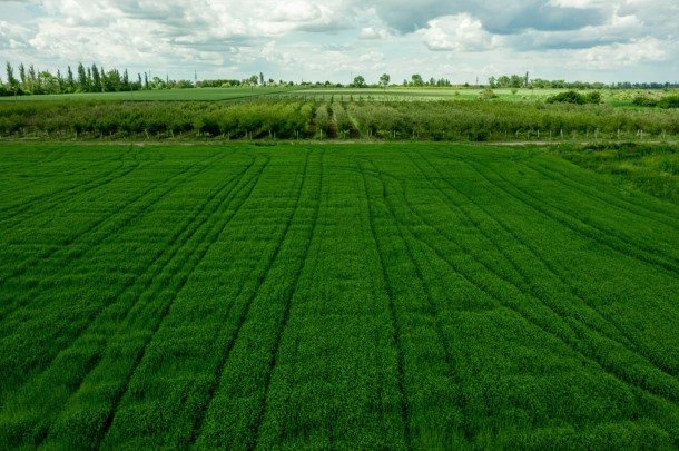 В Україні здійснено 1 995 земельних операцій у рамках чинного ринку землі