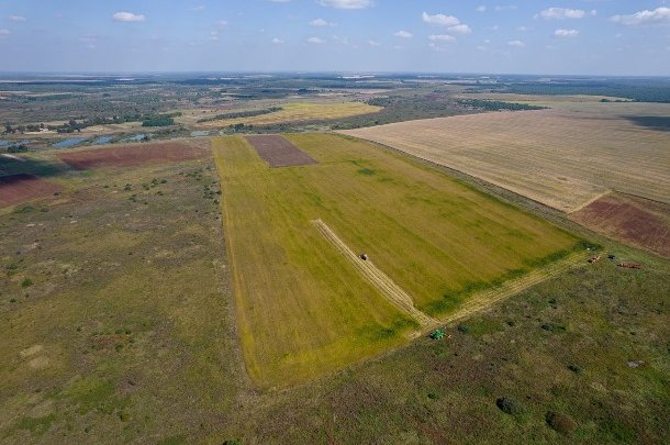 В Україні офіційно стартували електронні земельні торги через Прозорро.Продажі