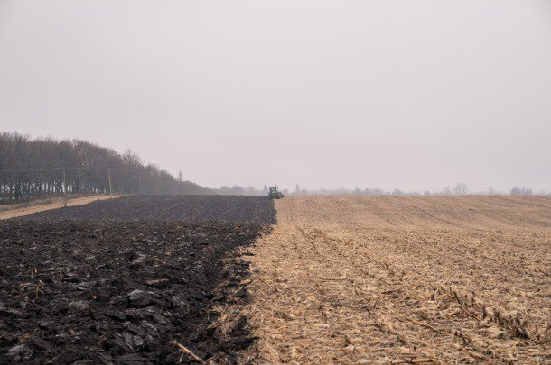 На Київщині аграрій може втратити 136 га орендованих земель