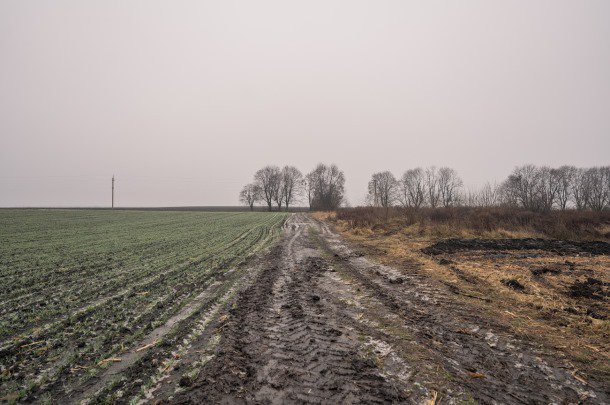 Понад 60% сільгоспземель у світі схильні до ризику забруднення пестицидами