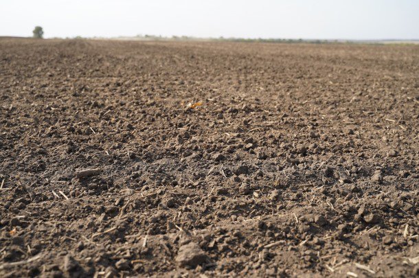 Роман Лещенко: 2/3 території України розташовані в зоні ризикованого землеробства