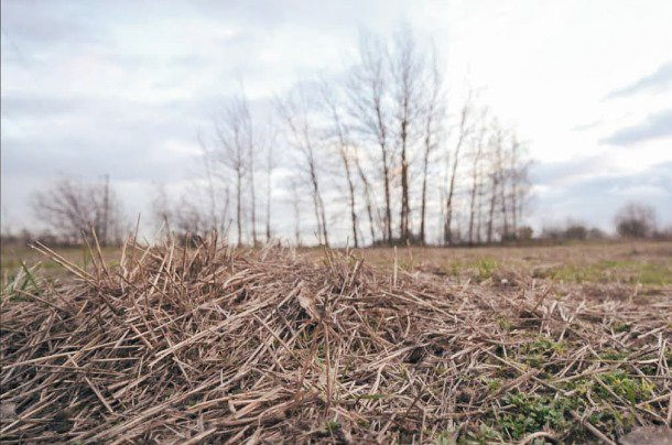 В Україні планують створити системи моніторингу стану ґрунтів
