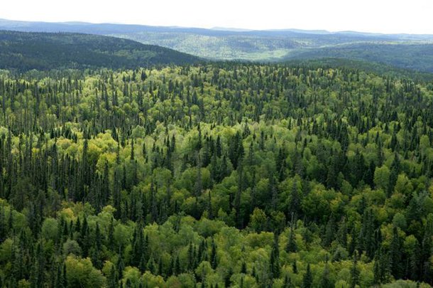 Депутати пропонують відхилити закон про забудову земель природно-заповідного фонду