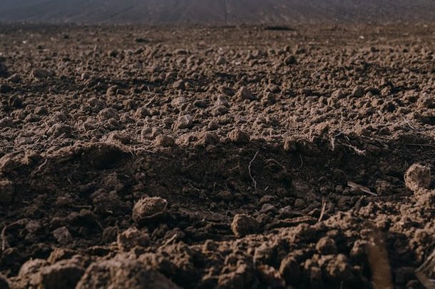 Збитки України від 20-річних втрат гумусу в грунті досяг 450 млрд грн
