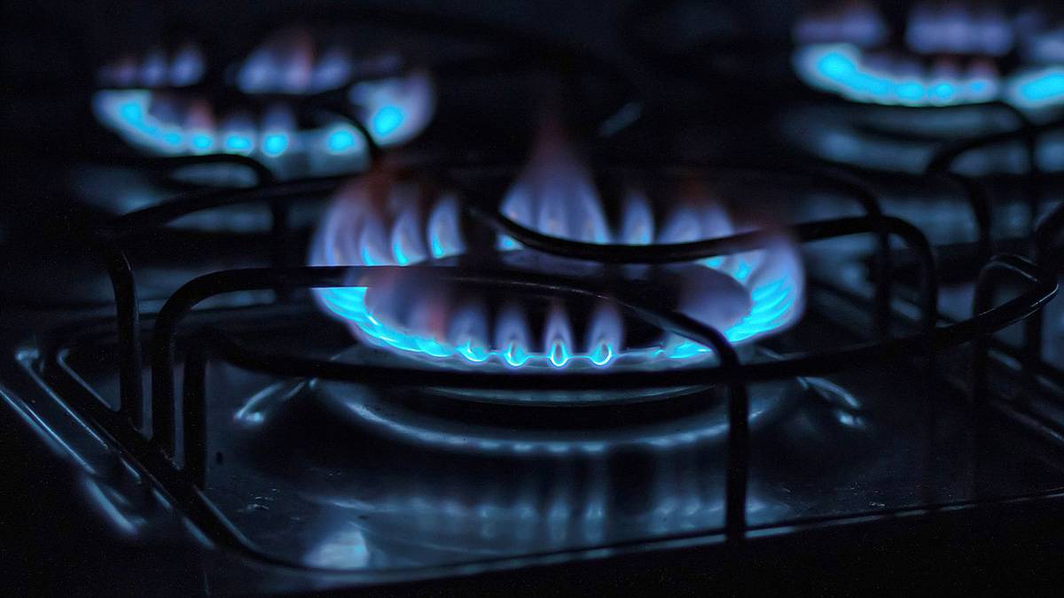 Срок службы газовых плит: сколько прослужит и как продлить