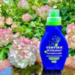 Добриво Fertika Kristalon для гортензій серед квітучих рожевих кущів
