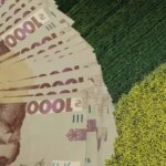 Віяло банкнот 1000 гривень на зеленому полі з жовтою смугою ріпаку