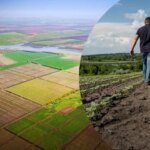 Аерофото різнобарвних полів біля річки та чоловік іде між молодими рослинами з вимірювальною стрічкою